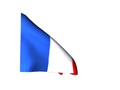 france-120-animated-flag-gifs.gif